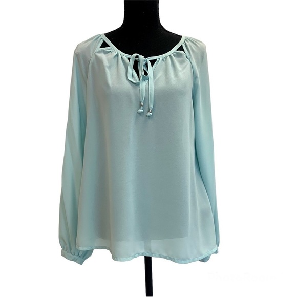 ROSE & Olive light pastel blue cutout sheer chiffon long sleeve blouse Sz M - Picture 1 of 13